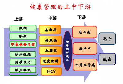 夏萌專家分享 健康管理與營養醫學經驗之談，顛覆你的思維！